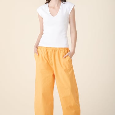 WR Work Pant in Apricot