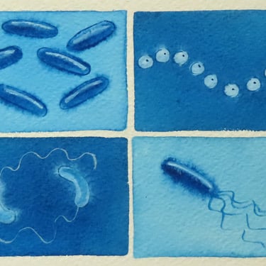 Blue Microbes - original watercolor painting of bacteria - microbiology art 