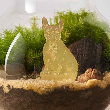 Pet Plant Animal - French Bulldog