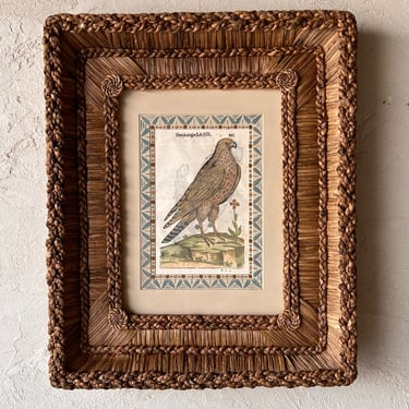 Gusto Woven Frame with Aldrovandi Hand-Colored Ornithological Engraving XI