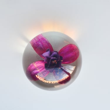 Fuchsia Paperweight