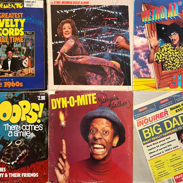 Lot of 8 | Ethel Merman Disco | Jimmy JJ Walker DYN-0-MITE | Dr. Demento | Weird Al Yankovic | Tammy Faye  Vintage Comedy Records (Lot #021) 