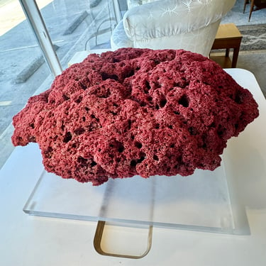 Large Red Coral