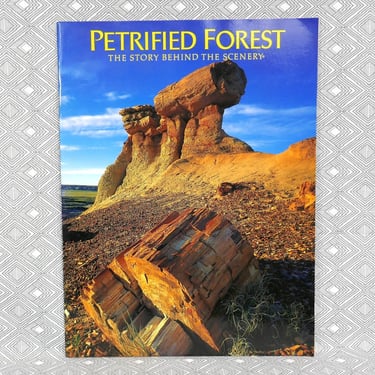 Petrified Forest: The Story Behind the Scenery (1985) by Sidney Ash - Lots of Color Photos - Vintage Tourist Souvenir - Museum Association 