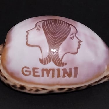 Vintage Carved Gemini Zodiac Sign Seashell 3" 