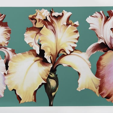 Lowell Blair Nesbitt, Three Irises on Green, Screenprint 