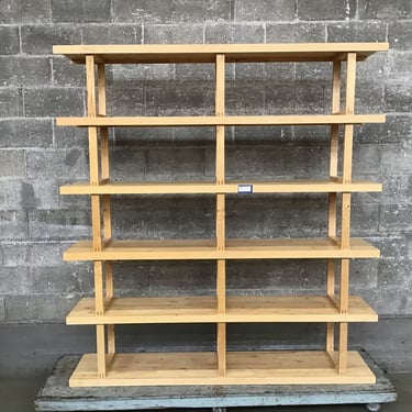 Breezy Birch Bookshelf/Vinyl Record Storage (Seattle)