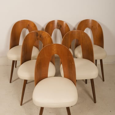 A Set of Six Mid-Century Dining Chair by Antonin Suman for Tatra 