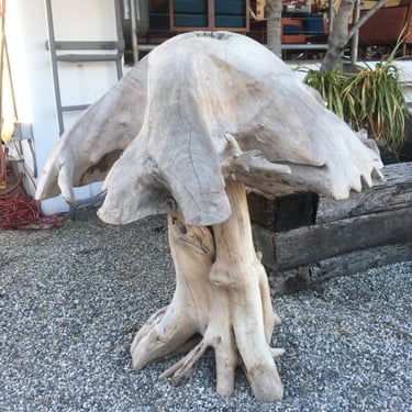 XL Solid Teak Mushroom Sculpture