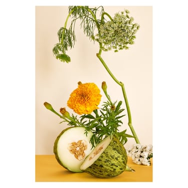 Still Life With Marigold Flower & Melon: Ikebana, Modern Art, Bespoke Print, Decorative Art, Fine Art Photo 