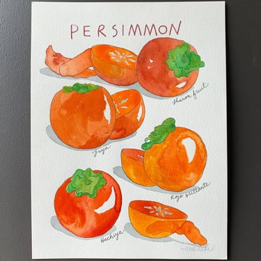 Persimmon Original Watercolor Painting