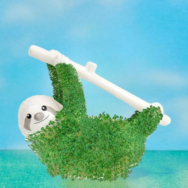 Chia Seed Animal Planter