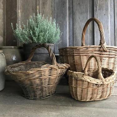 1 Rustic Garden Harvest Basket, Posy, Handle, Farmhouse, Farm Table, French Farmhouse 
