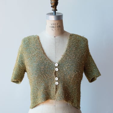 Sparkly Cropped Knit Top | Anna Molenari Blumarine 