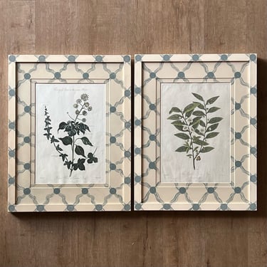 Pair of Dr Robert Thornton Hand-Colored Botanical Engravings in Gusto Painted Frame and Mat IV