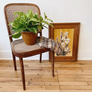 Caned Bentwood Chair