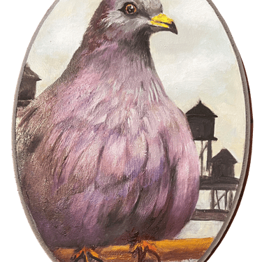&quot;Noble&quot; Pigeon