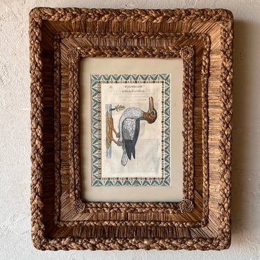 Gusto Woven Frame with Aldrovandi Hand-Colored Ornithological Engraving XXXII