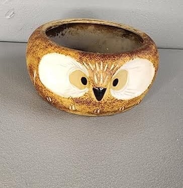 Owl Ceramic Planter Pottery Bowl 