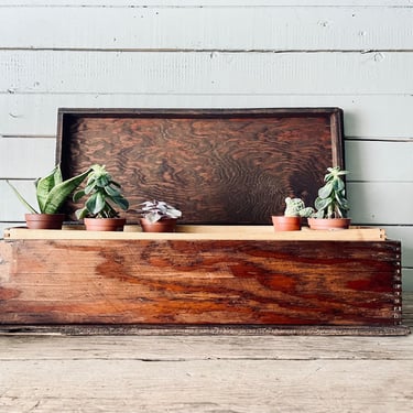 Rustic Vintage Dovetail Hinged Box with Tray | Storage Paintbrushes Art Supplies Tools Crafts | Display Bookshelf Plants Gardening | Toolbox 