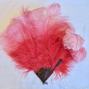 Pink and Coral Ostrich Feather Hand Fan Tortoise Shell Folding Handle Art Deco Burlesque Boudoir Moulin Rouge Showgirl Dancing 