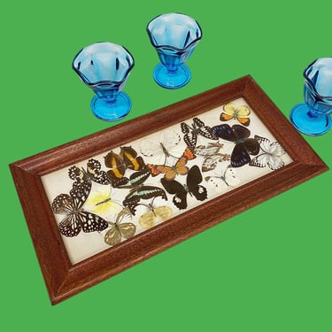 Vintage Pressed Butterfly Tray Retro 1970s Bohemian + Butterflies + Insect Taxidermy + Rectangular + Brown Wood + Clear Glass Top + Storage 