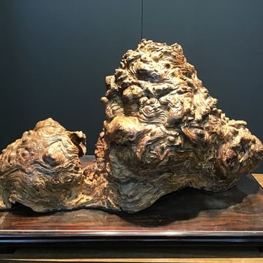 Large Burl Sculpture (Seattle)