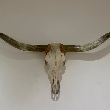 American Mid Century Texan Genuine Extra Longhorn Cow Skull with Horns