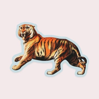 Aghast Tiger Sticker
