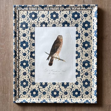 Handcolored Ornithological Engraving of Hawk in Gusto Painted Frame and Mat