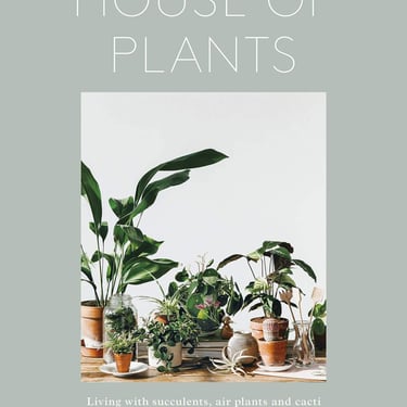 House of Plants: Living with Succulents, Air Plants and Cacti |