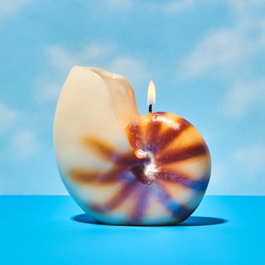 Nautilus Shell Candle