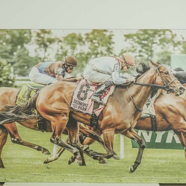 Belmont Park Aluminum Racetrack Wall Photograph