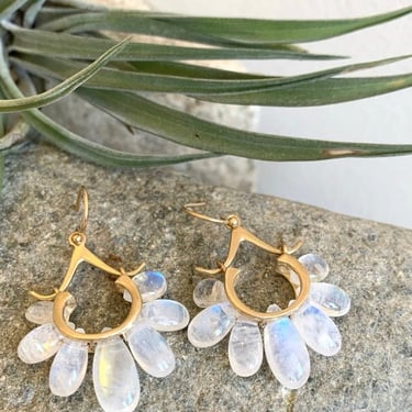 Rachel Atherley | Small Peacock Earrings in 14k + Rainbow Moonstone