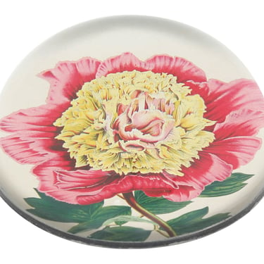 Peony Albifl Paperweight