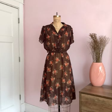 1970's Size 2/4 Sheer Brown and Orange Rose Dress 
