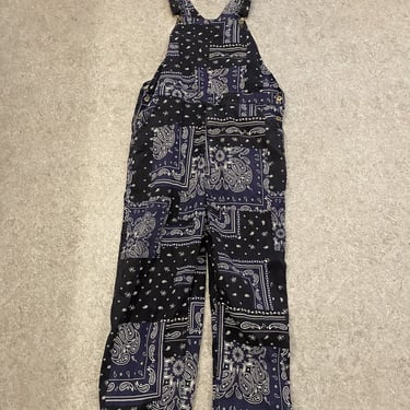 Blue Paisley Overalls