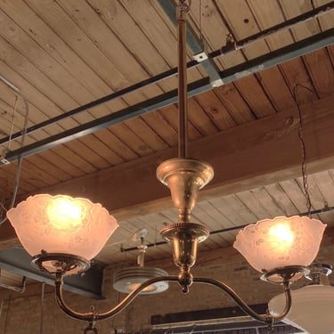 2 Light Brass Hanging Light w Bird Shades