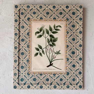 18th C. Weinmann Hand Colored Botanical Engraving in Gusto Blue Painted Frame VI