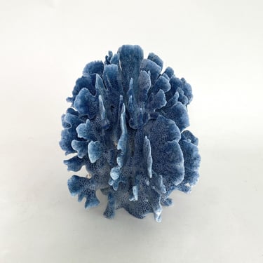 Natural Blue Coral Specimen Coastal Home Decor Beach House 