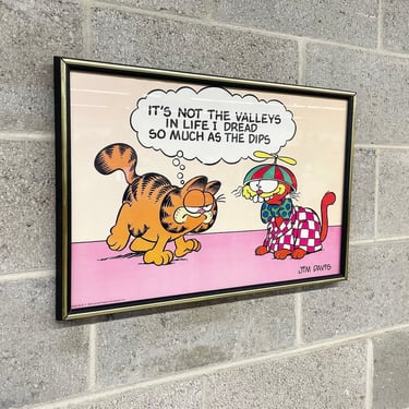 Vintage Garfield Print Retro 1970s Jim Davis + Size 22X15 + Its Not The Valleys In Life I Dread So Much As The Dips + Comic Strip + Framed 