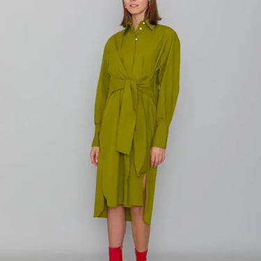 Keon Organic Cotton Shirt Dress in SEAWEED or DUST GREEN