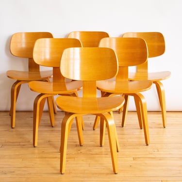 Bruno Weil Dining Chairs