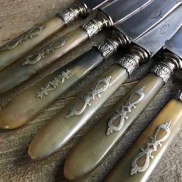 French Horn Handle Knife Set, Fine Silverware, Flatware, Cast Steel, Decorative Handles, Egg and Dart, Set of 6, Chateau Decor 