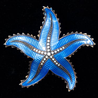 Starfish Enamel Brooch by Holth