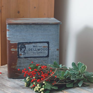 Vintage galvanized milk box / vintage metal milk box / Dellwood Dairy dairy box / metal milk delivery box / rustic farmhouse decor 