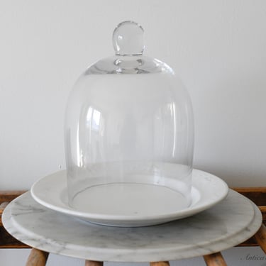 Glass Cloche and Ironstone Plate 