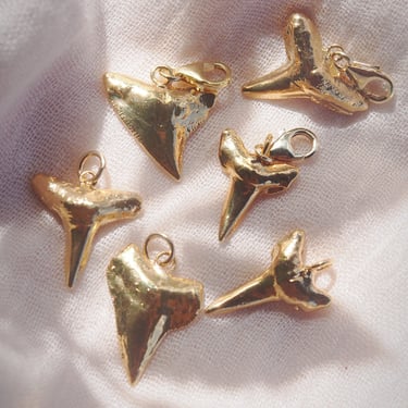 Gold Plated Shark Tooth Charm 