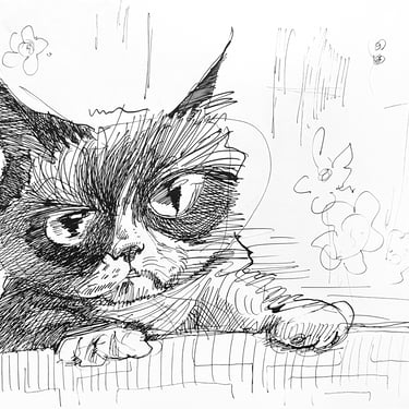 Alvar Sirlin | Grumpy Cat