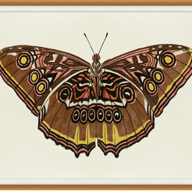 Pink and Gold Butterfly 2 43.25"w x 33.25"h